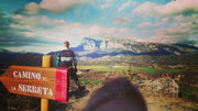 Ride2 ZonaZero / trailcamp - op aanvraag