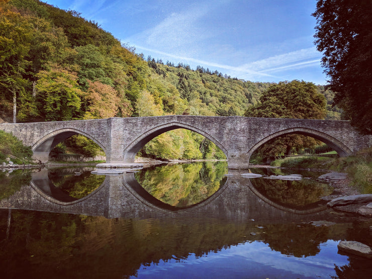 BOUILLON